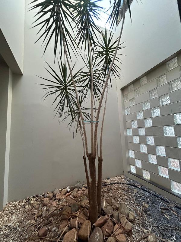 Casa para aluguel no Centro: 