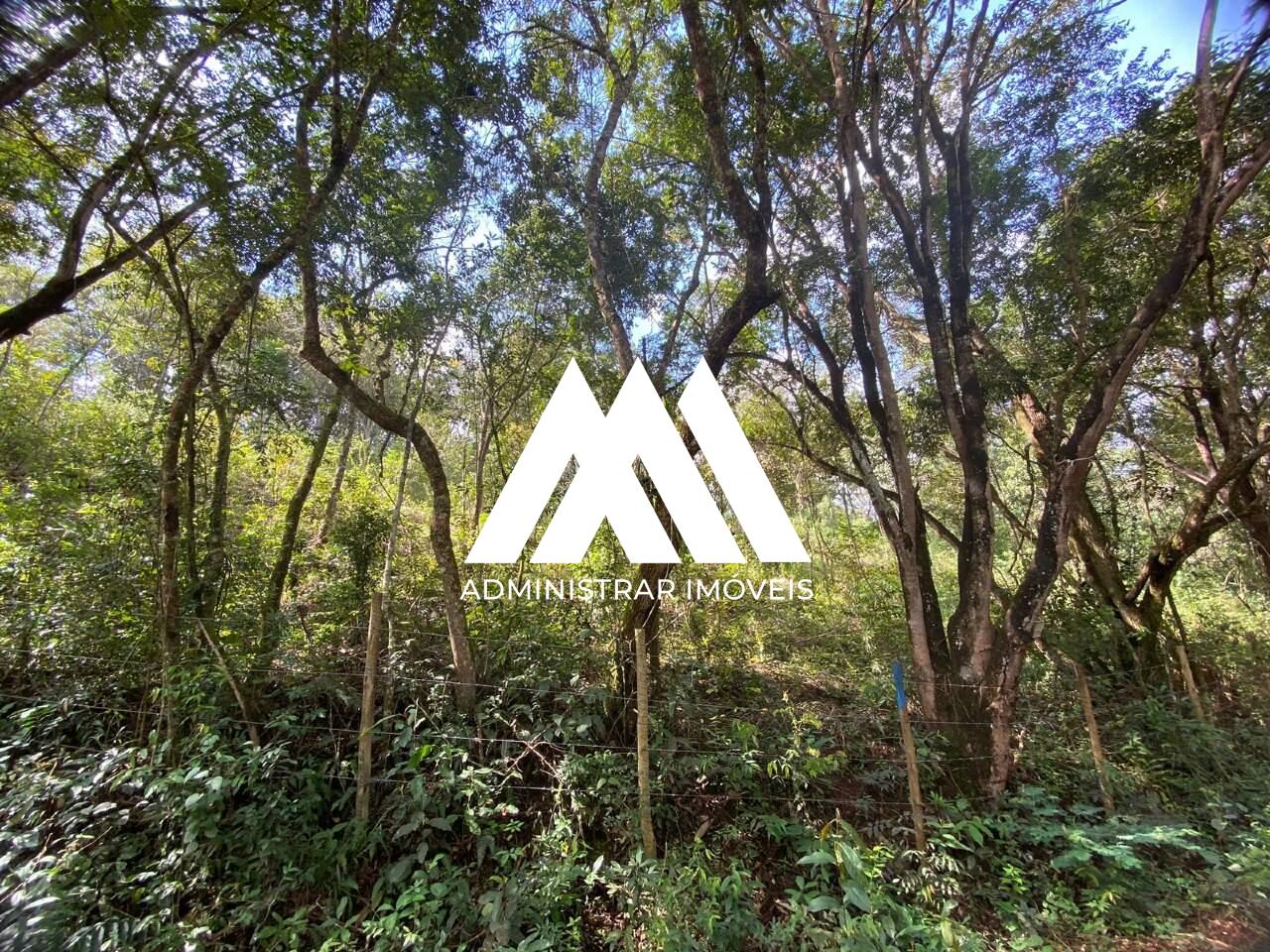 Lotes à venda no Santa Terezinha: 