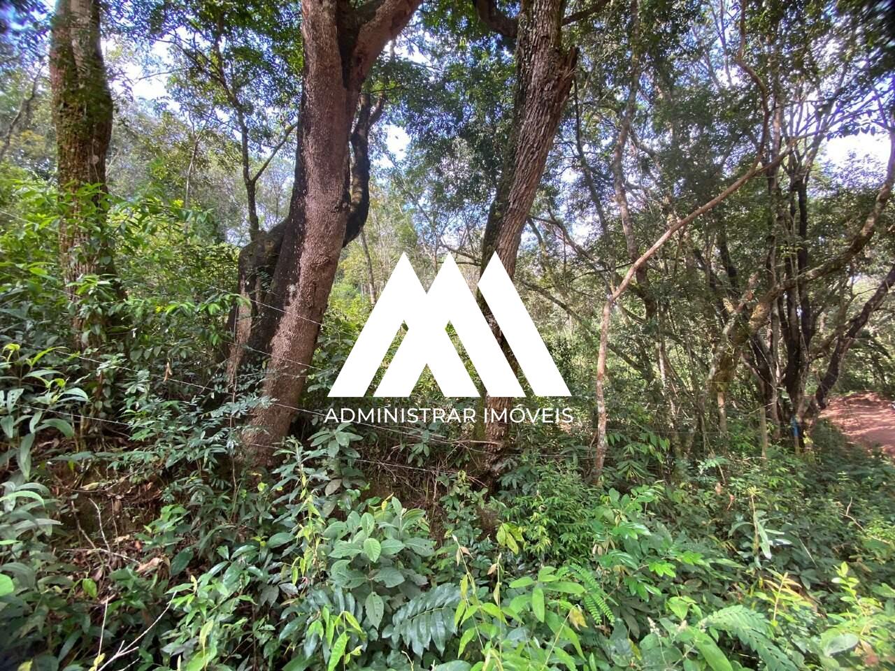 Lotes à venda no Santa Terezinha: 