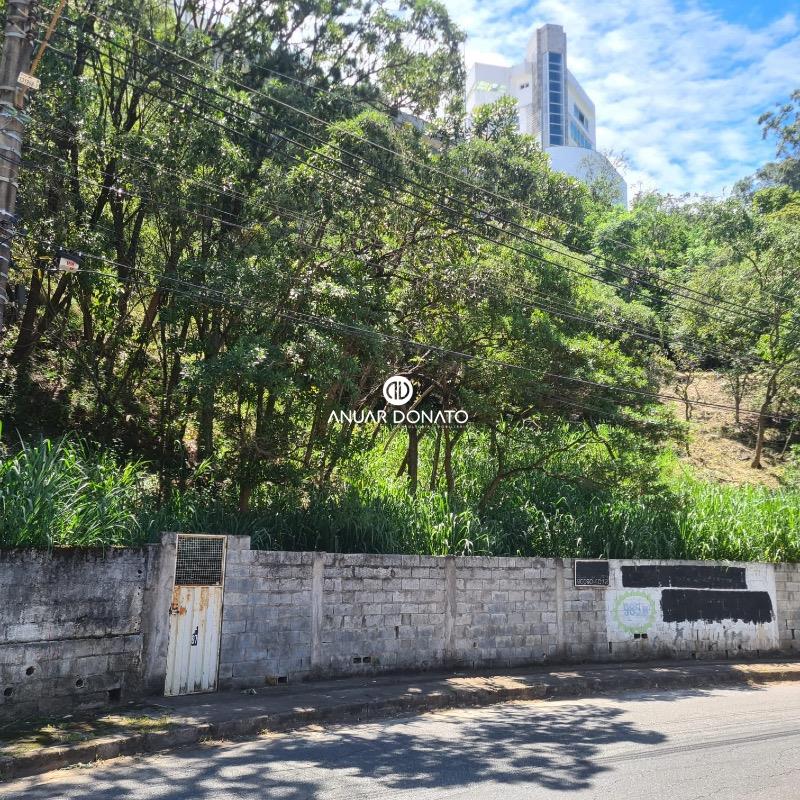 Mangabeiras - Lote / Terreno à venda na Anuar Donato : Anuar Donato Venda Lote Mangabeiras 