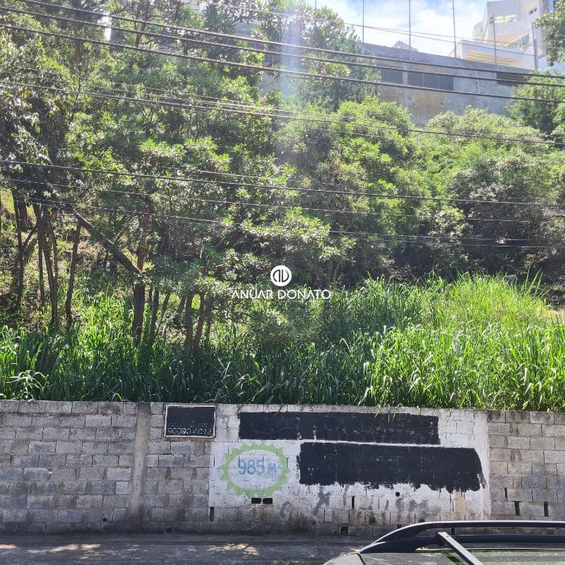 Mangabeiras - Lote / Terreno à venda na Anuar Donato : Anuar Donato Venda Lote Mangabeiras 