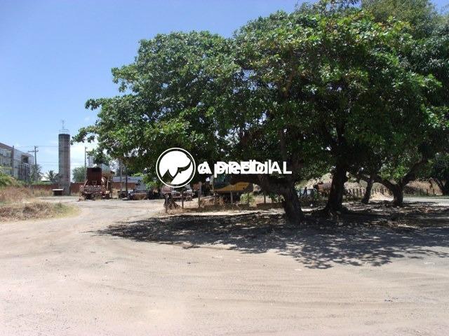 Lote para aluguel no Sapiranga: