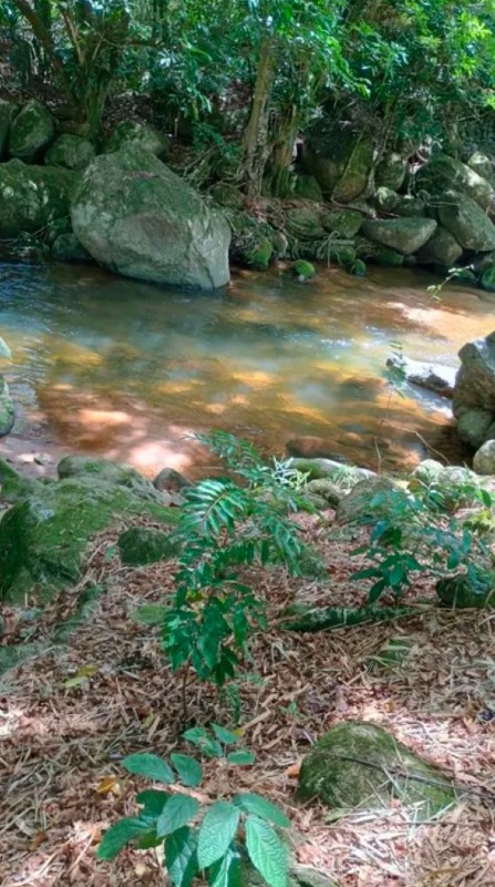 Área à venda no Glicerio: 