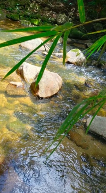 Área à venda no Glicerio: 