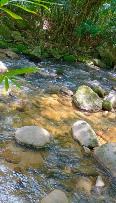 Área à venda no Glicerio: 