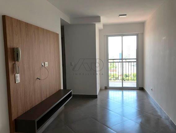 PAULICEIA, PIRACICABA PAULICEIA, PIRACICABA