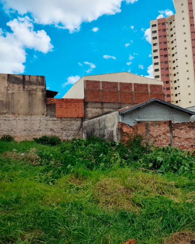 VILA MONTEIRO, PIRACICABA VILA MONTEIRO, PIRACICABA