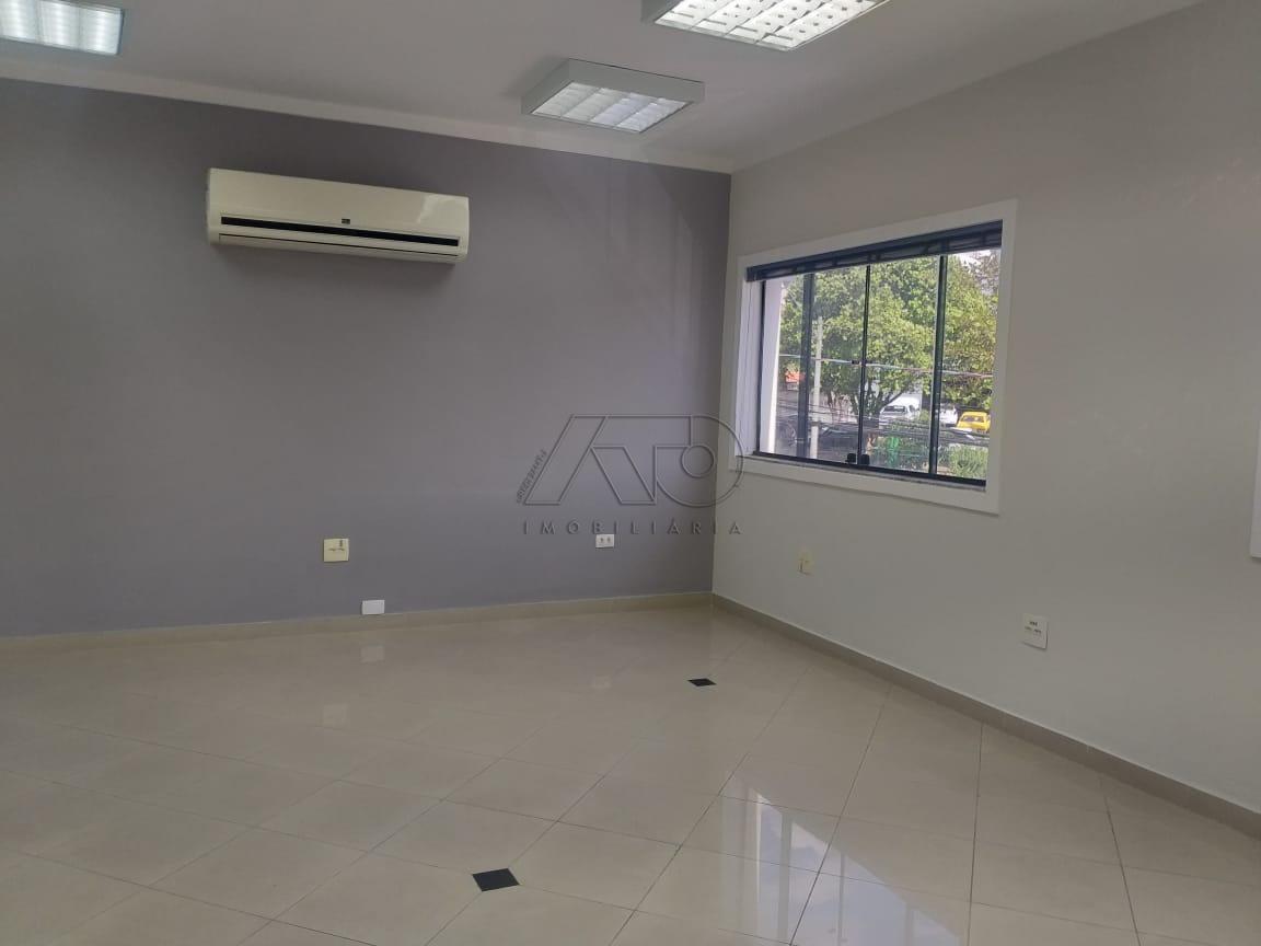 PAULISTA, PIRACICABA PAULISTA, PIRACICABA