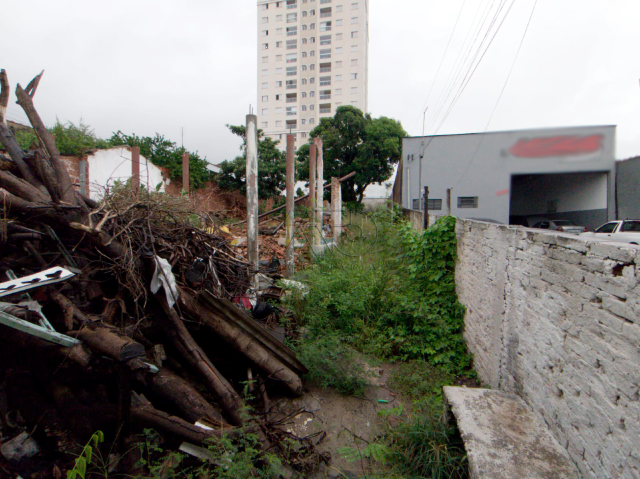 PAULICEIA, PIRACICABA