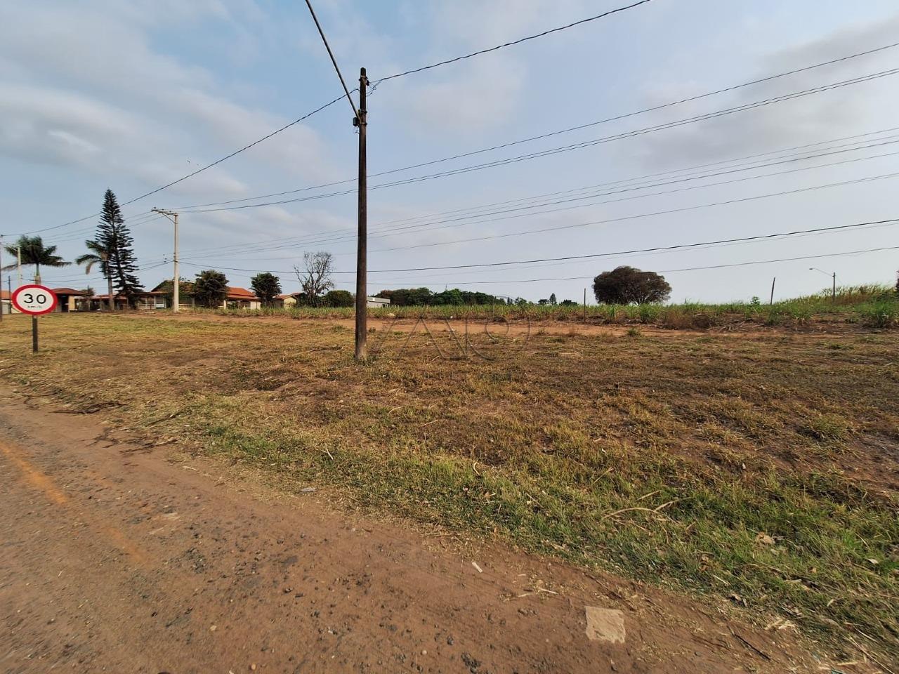 CORREGO DA ONÇA, CHARQUEADA CORREGO DA ONÇA, CHARQUEADA