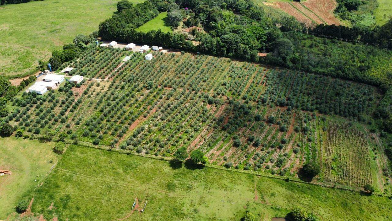 DOS GOMES, SÃO PEDRO