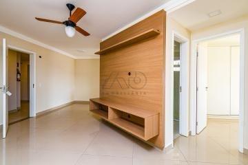 PAULICEIA, PIRACICABA