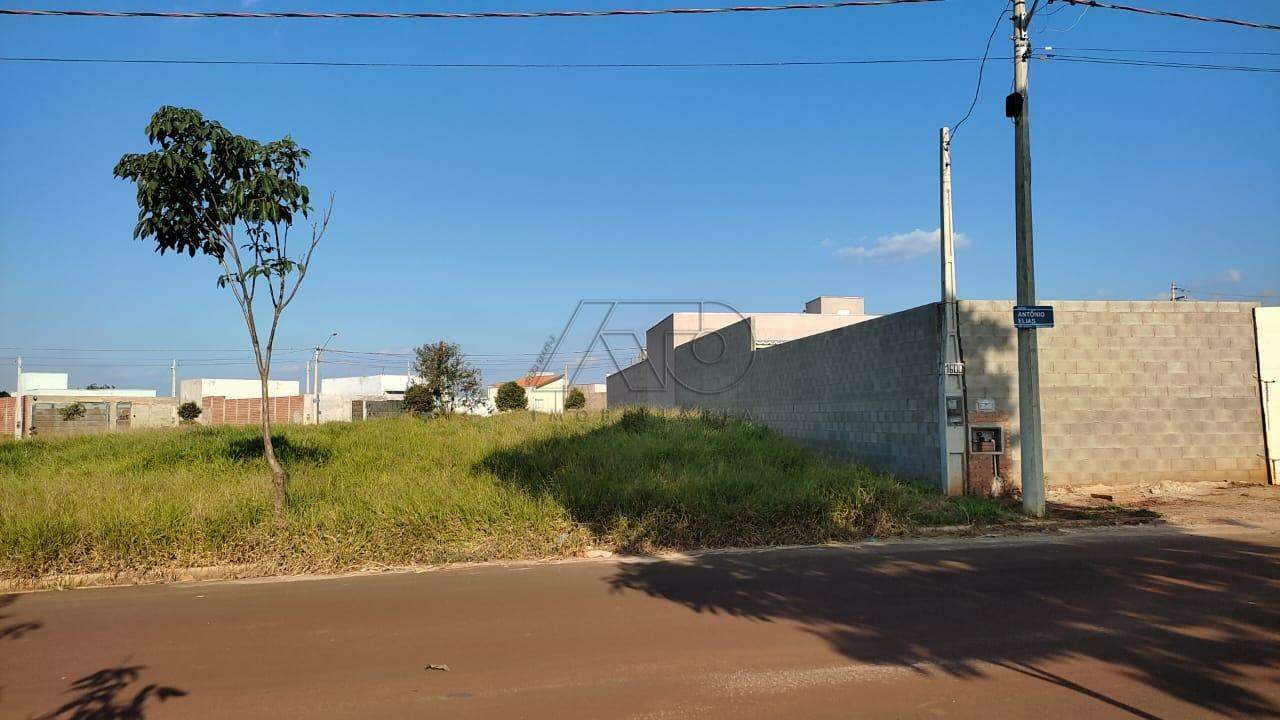 Terras di Treviso, PIRACICABA