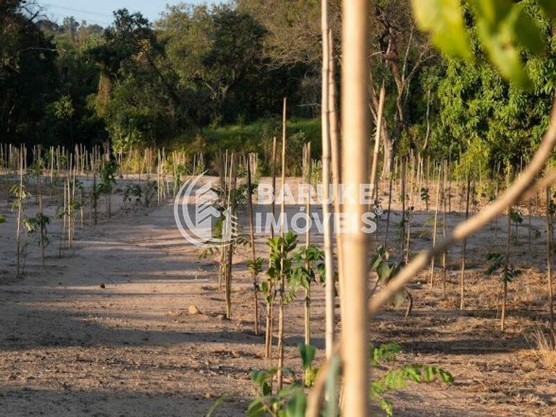 Terreno à venda no bairro PARQUE RESERVA SANTA MARIAIndaiatuba: Foto 40