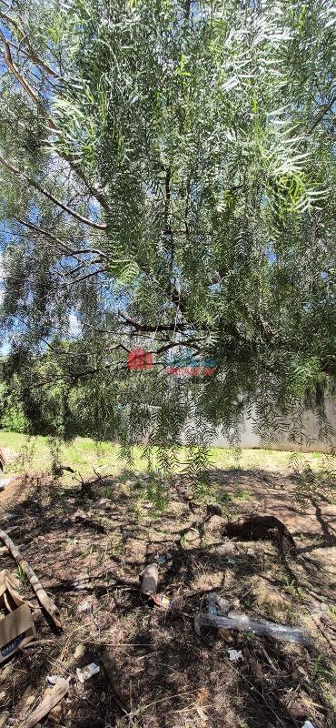 Terreno à venda Jardim Alto da Colina em Valinhos: 