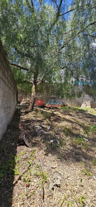 Terreno à venda Jardim Alto da Colina em Valinhos: 