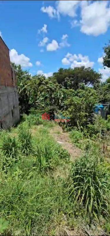 Terreno à venda Jardim Alto da Colina em Valinhos: 