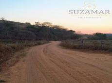 Sítio à venda no Mathias Lobato: 4528-2-122.jpg