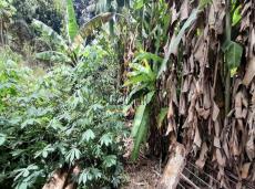 Chácara à venda no Golconda: 4544-15-122.jpg