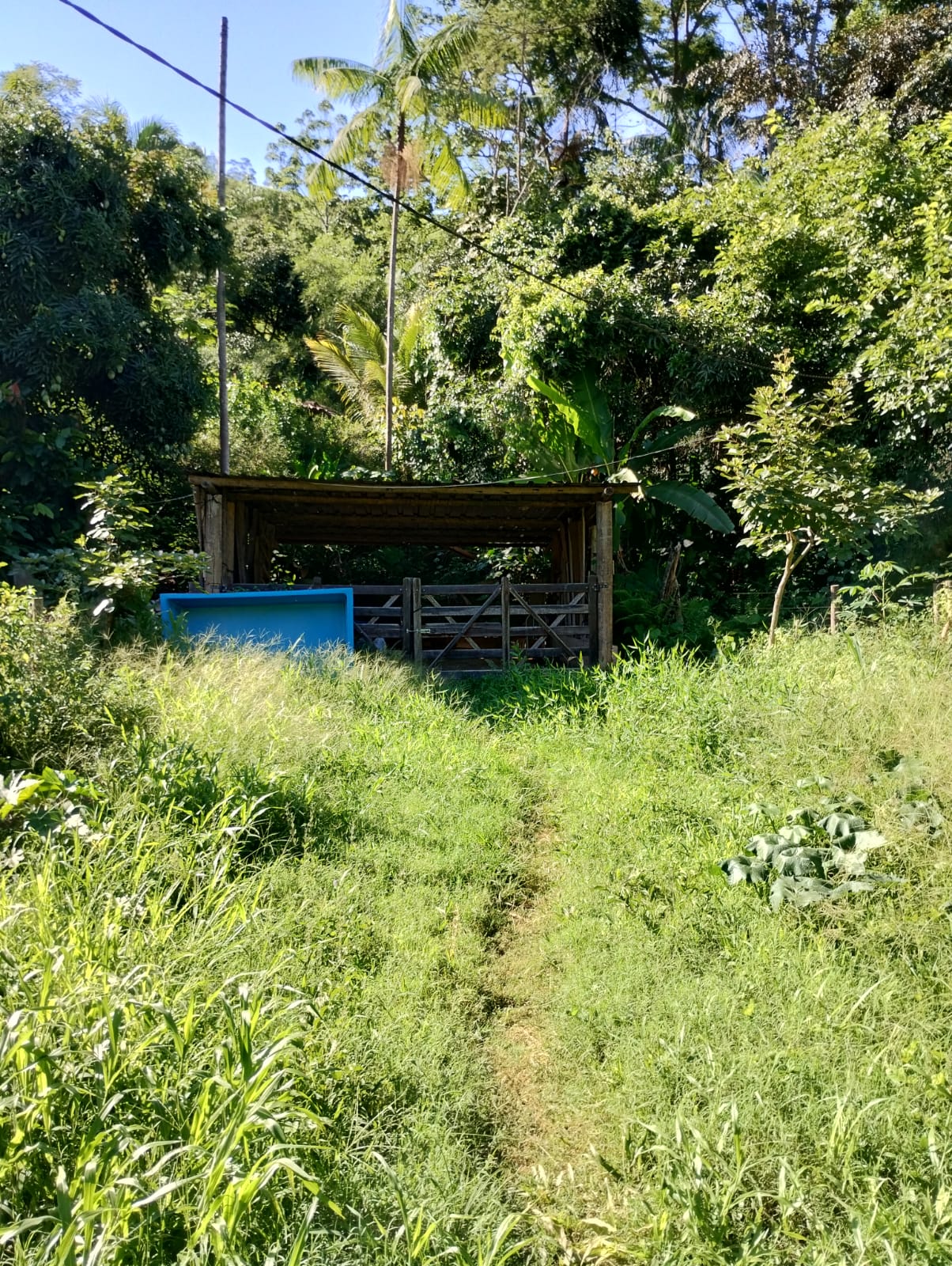 Chácara à venda no Corregos Dos Bernados: Imagem do WhatsApp de 2024-12-16 à(s) 11.12.36_e87bcee2.jpg