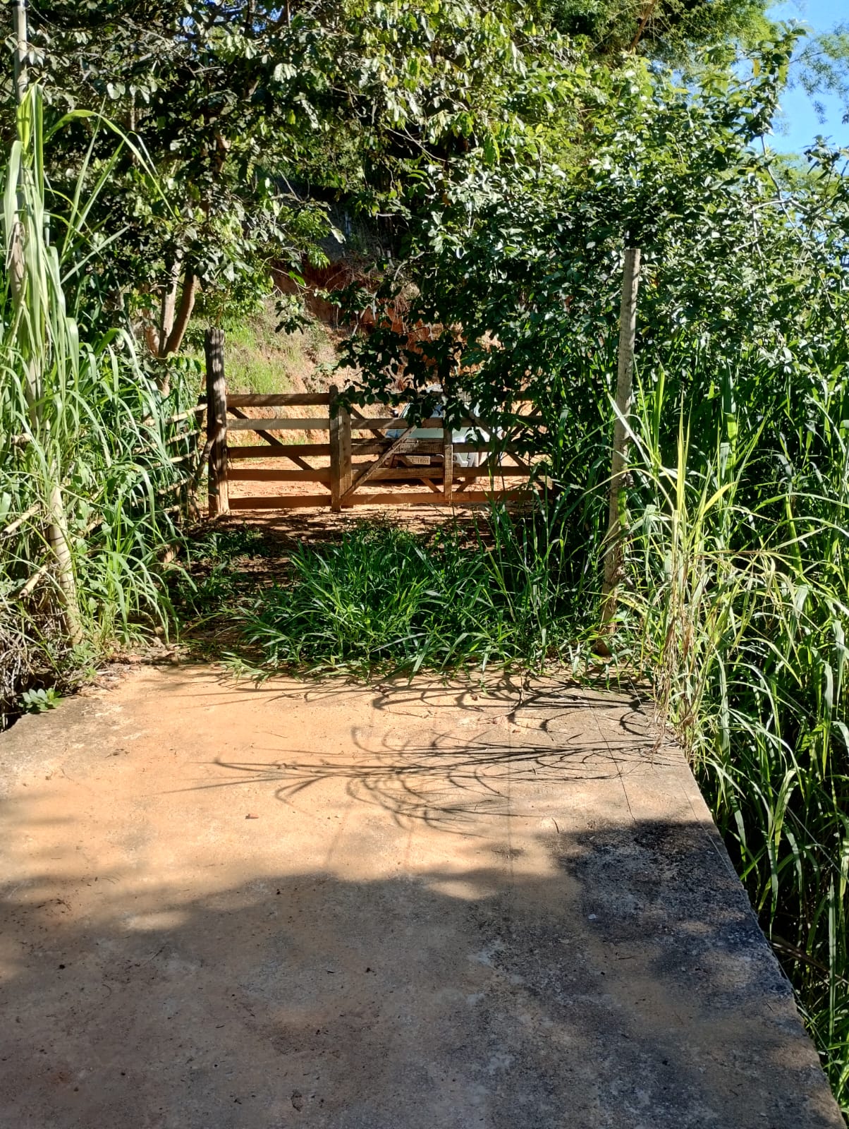 Chácara à venda no Corregos Dos Bernados: Imagem do WhatsApp de 2024-12-16 à(s) 11.12.37_fc5100d7.jpg