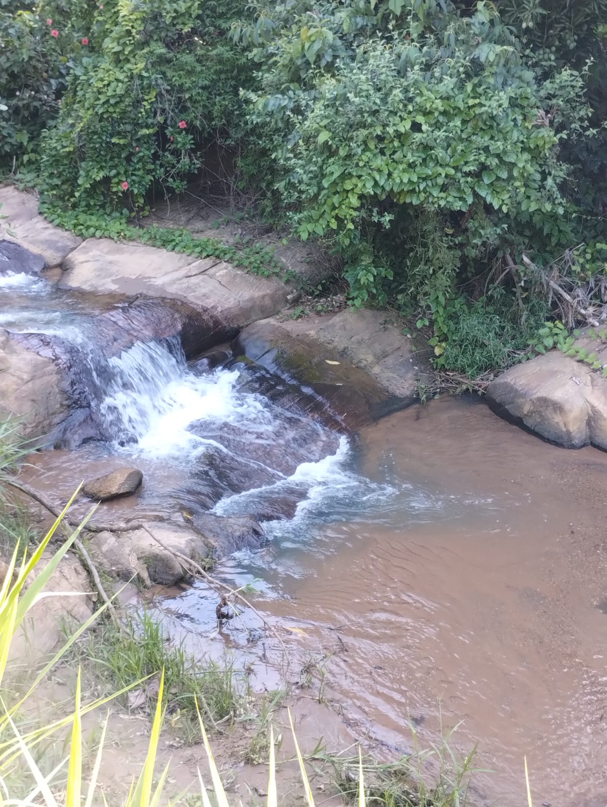 Chácara à venda no Corregos Dos Bernados: Imagem do WhatsApp de 2024-12-16 à(s) 11.12.38_0c094cfa.jpg