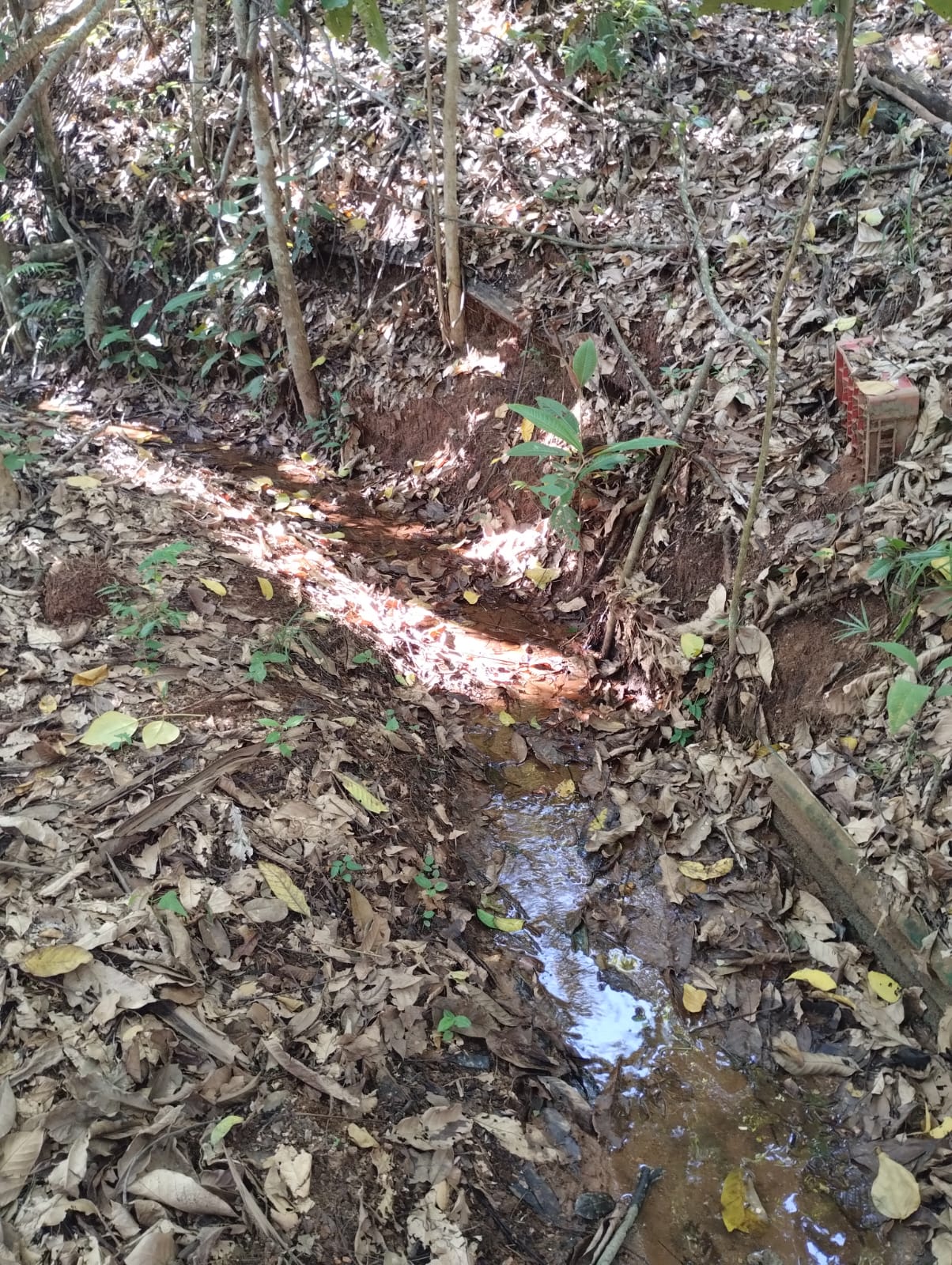 Chácara à venda no Corregos Dos Bernados: Imagem do WhatsApp de 2024-12-16 à(s) 11.12.39_4a14d017.jpg