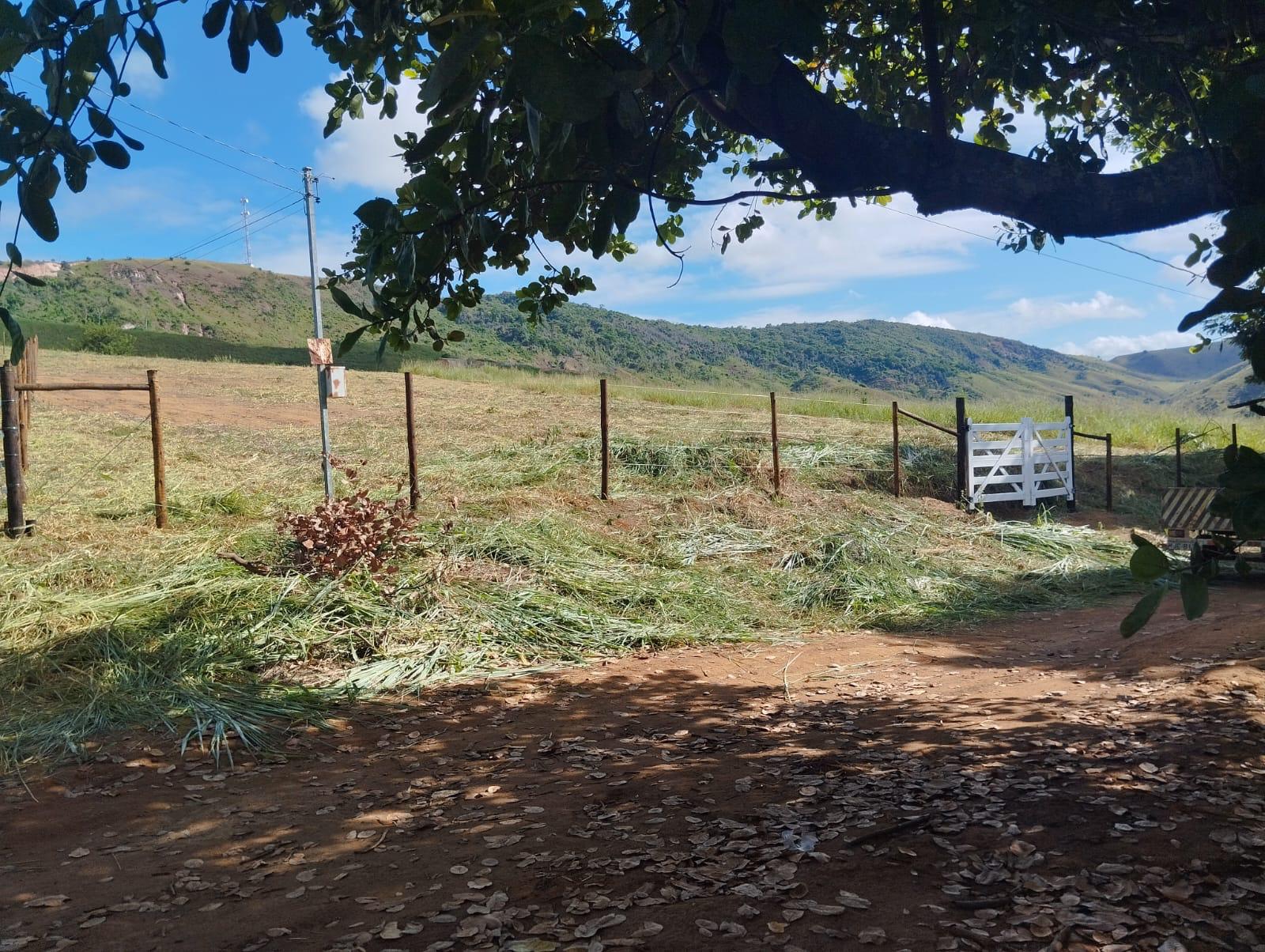 Chácara à venda no BR 116: 4622-2-122.jpg