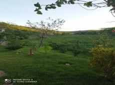 Chácara à venda no Chacreamento Miura: sc_imagens_7d653719570fabb0f9f29f7feba5fd1a.jpg