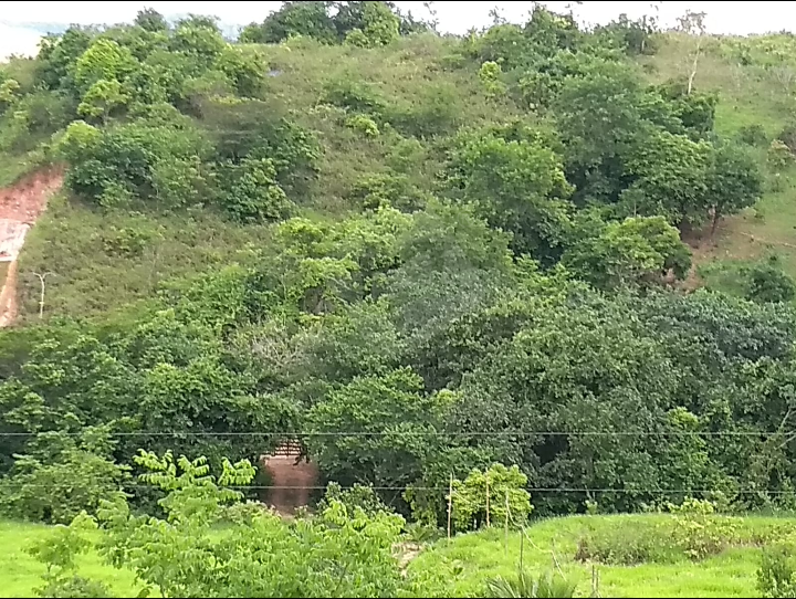 Chácara à venda no Santo Antonio do Pontal: 