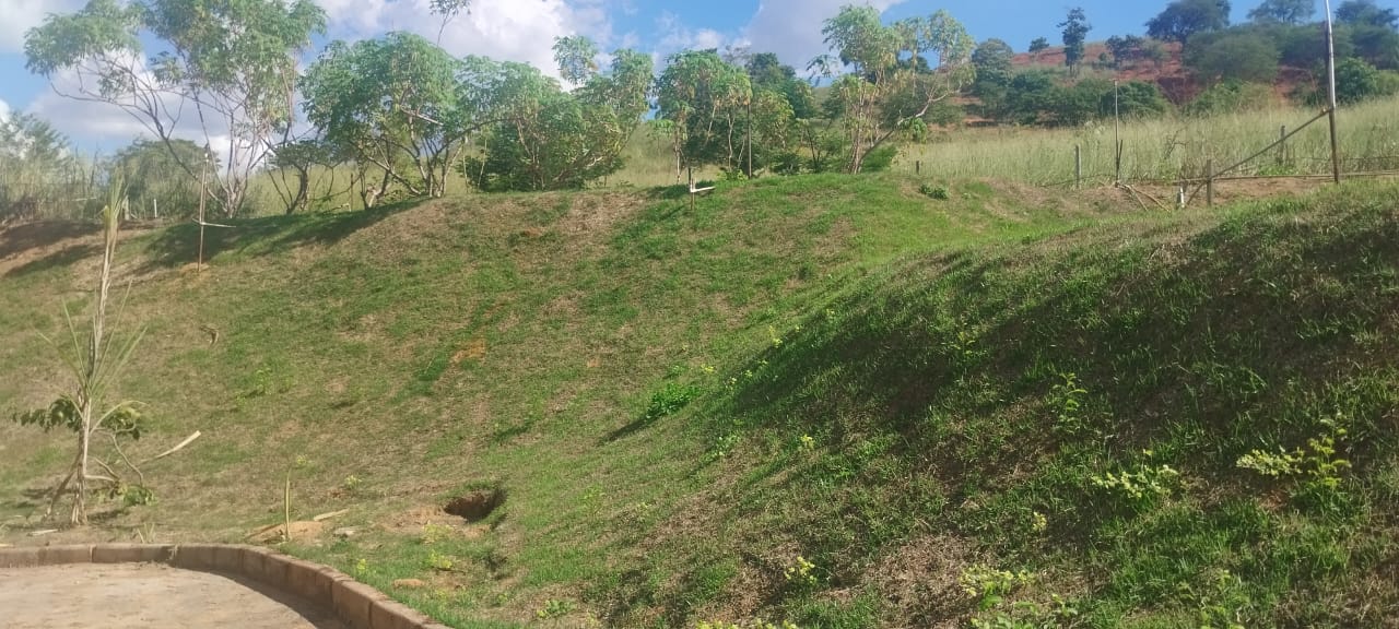 Chácara à venda no Veleiros: 4793-11-101.jpg