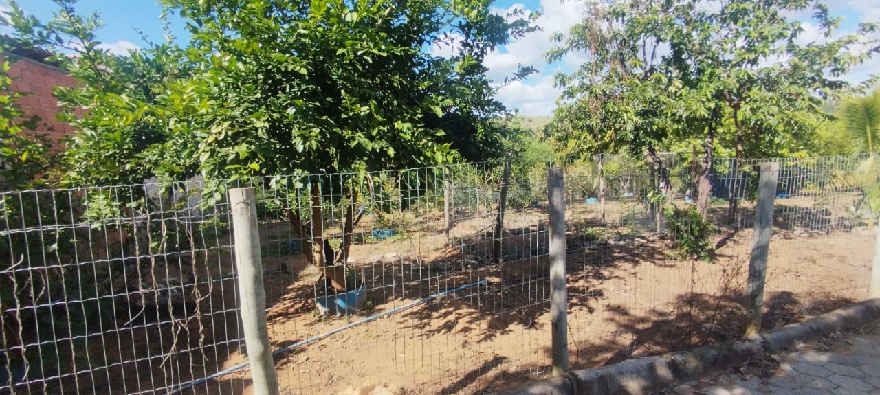 Chácara à venda no Veleiros: 4793-14-101.jpg