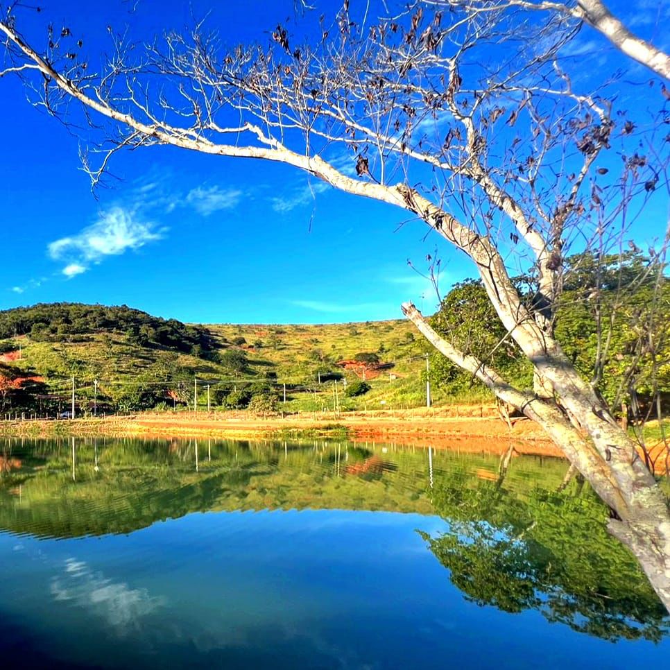 Chácara à venda no Pontal: sc_imagens_0b5362e8c9bd4d98cba3e43dd39c69b9.jpg