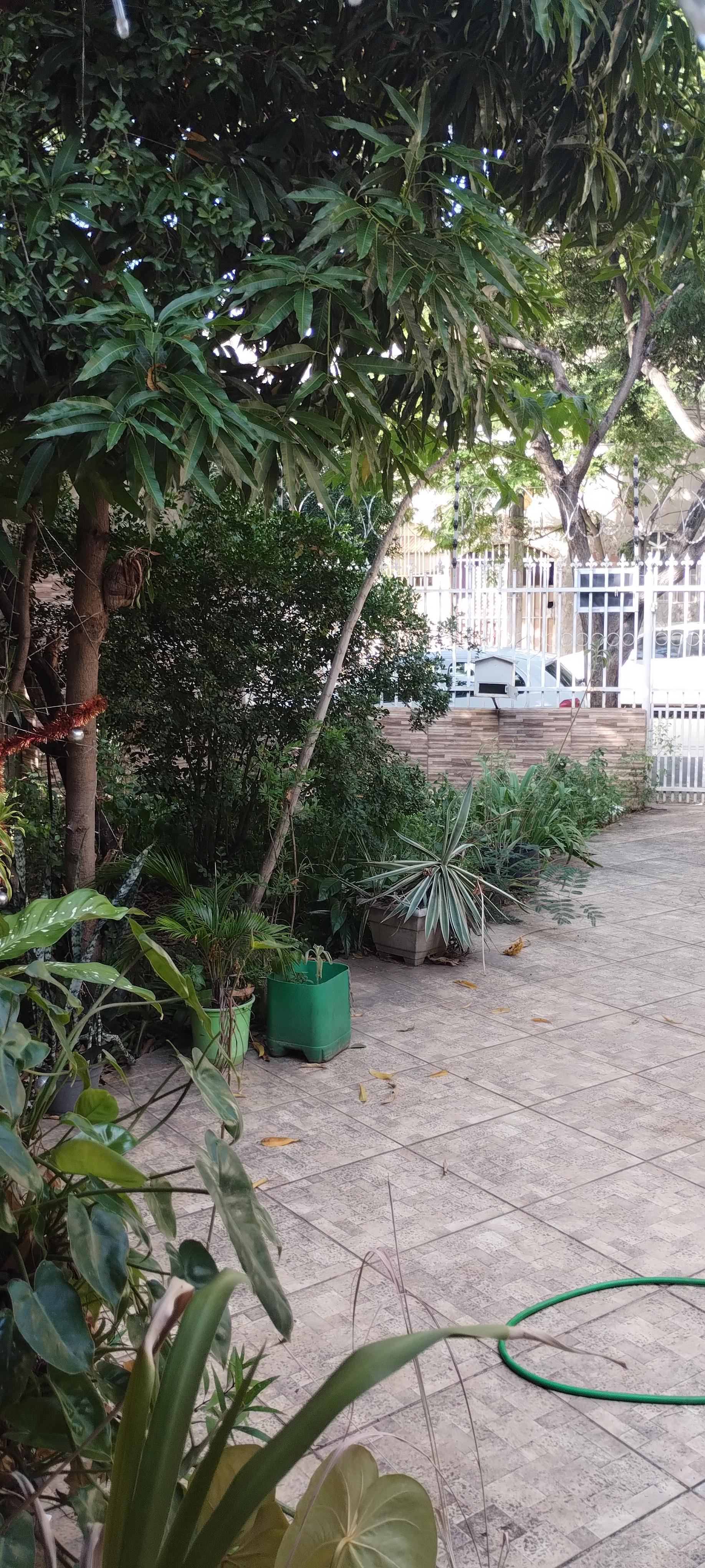 Casa à venda no Lourdes: sc_imagens_32666cadd41a6a2976bdae0d2f0f5d81.jpg