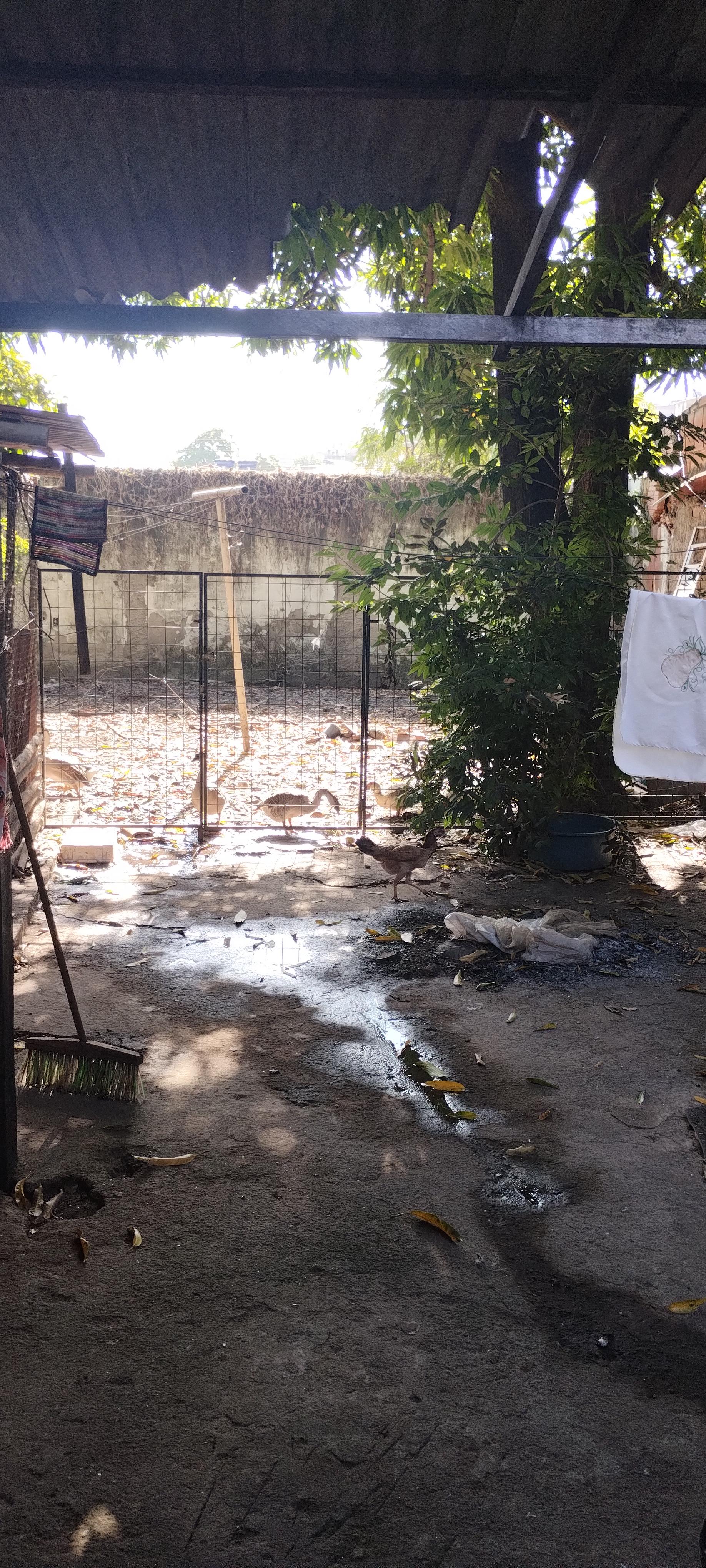 Casa à venda no Lourdes: sc_imagens_38d5774b337e1243aec27d3232e57b87.jpg