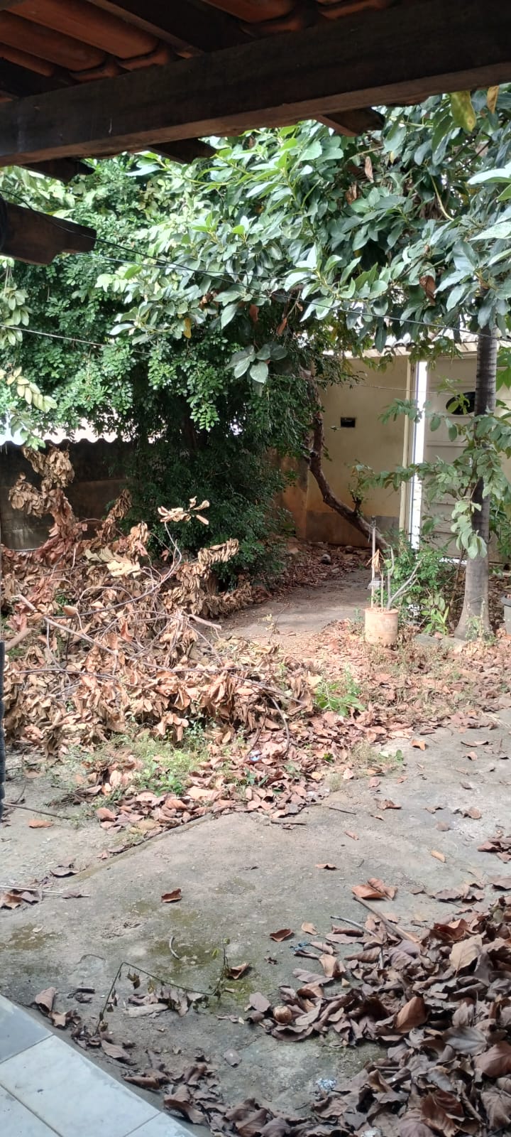 Casa à venda no Lourdes: Imagem do WhatsApp de 2025-06-04 à(s) 15.19.15_16b2bafb.jpg