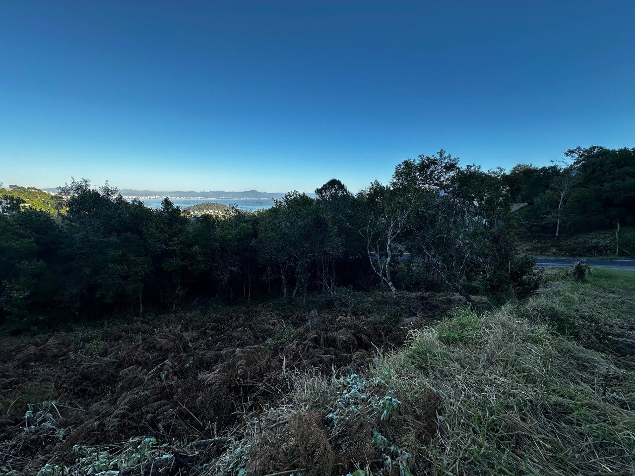 Terreno[ NumeroQuarto] João Paulo Florianópolis Jardim Caiobig: 