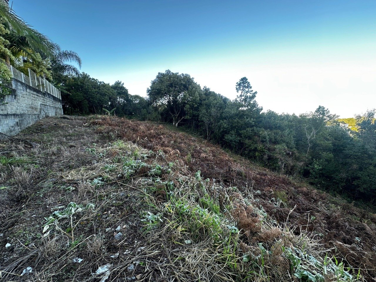 Terreno[ NumeroQuarto] João Paulo Florianópolis Jardim Caiobig: 