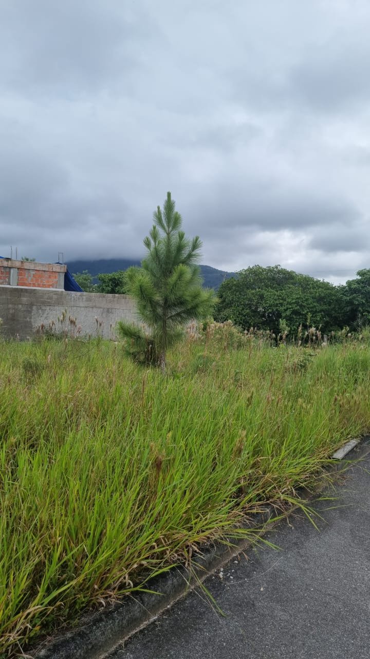 Terreno[ NumeroQuarto] Sertão do Maruim São José Loteamento Nova Sao Jose I: 