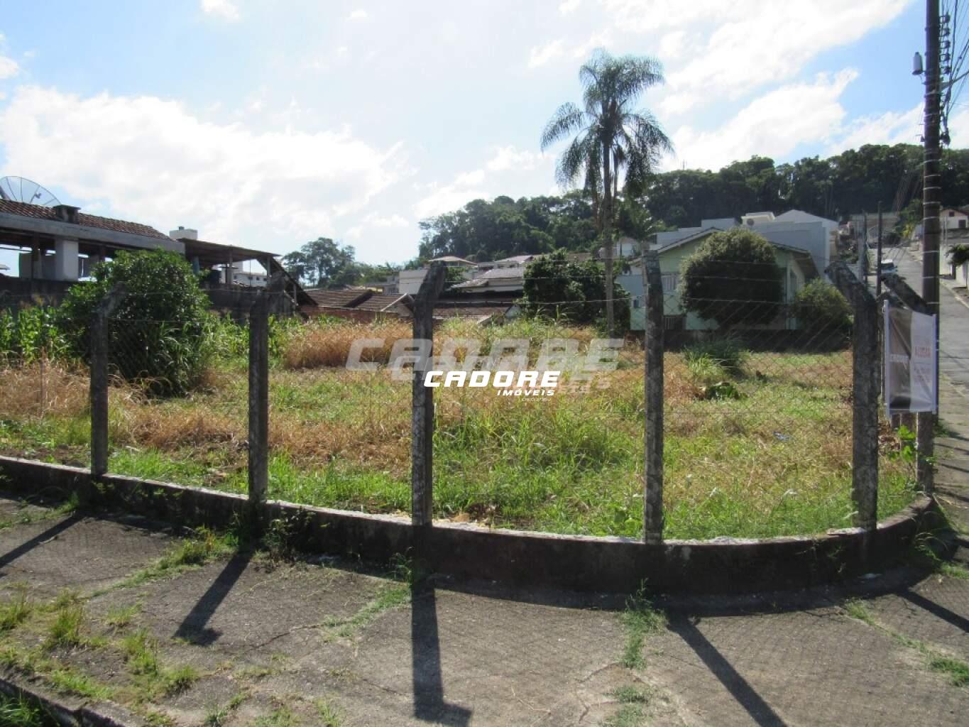 Lote/Terreno para aluguel, Água Verde - Blumenau/SC — foto 6