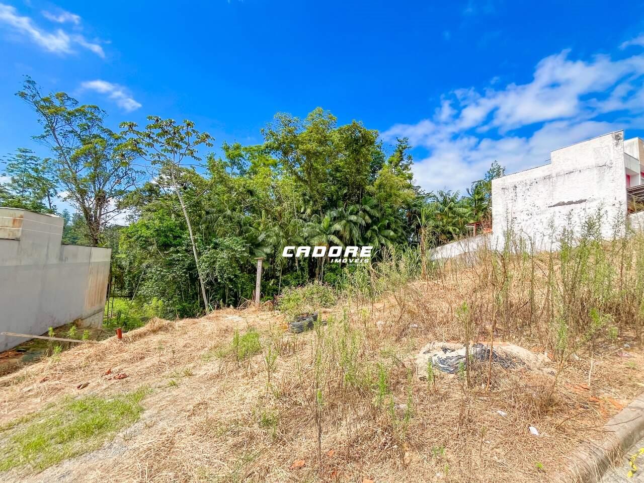 Terreno amplo em loteamento próximo a rotatória da Cooper — foto 2