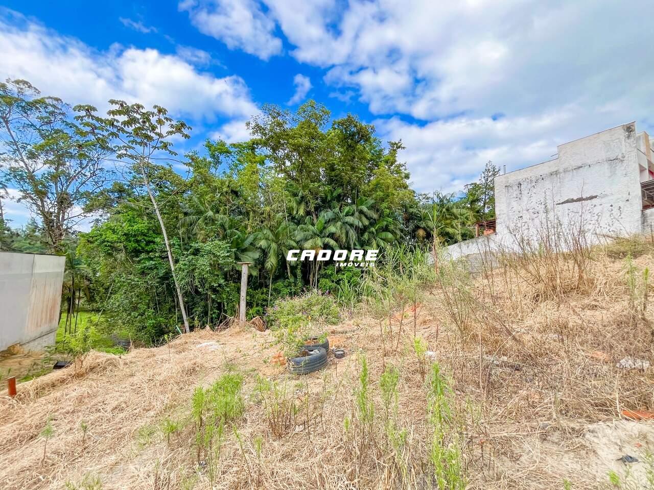 Terreno amplo em loteamento próximo a rotatória da Cooper — foto 5