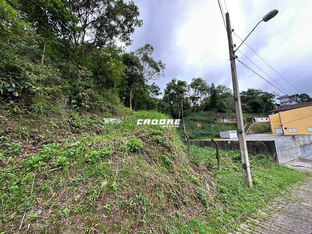Lote/Terreno à venda, Garcia - Blumenau/SC — foto 5