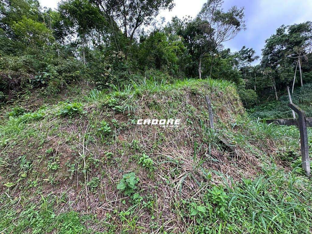 Lote/Terreno à venda, Garcia - Blumenau/SC — foto 7