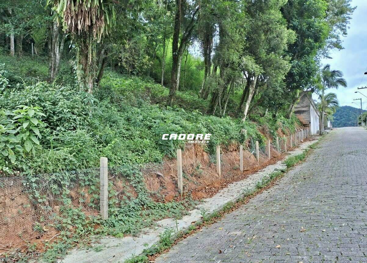 Terreno em ótima localização no bairro Garcia!! - foto 1