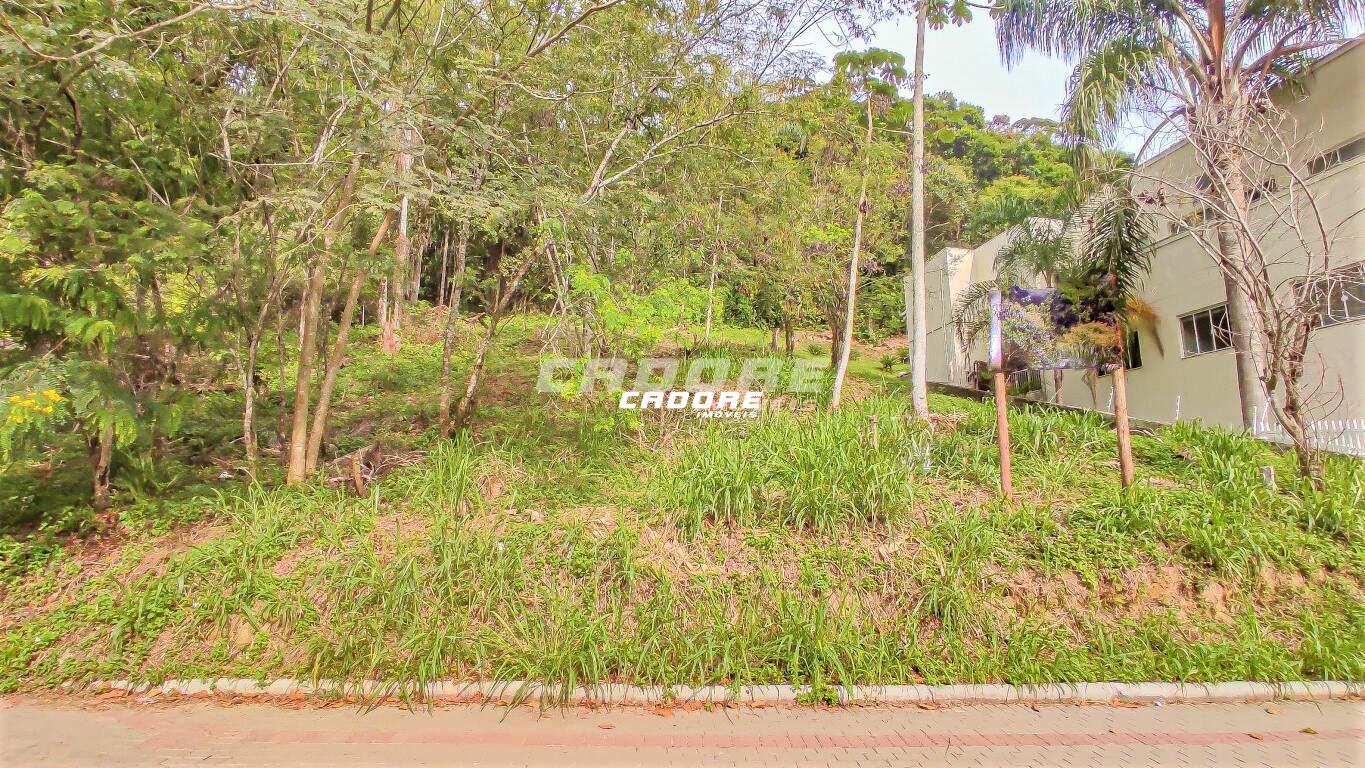 Terreno RESIDENCIAL e COMERCIAL localizado no bairro GARCIA. — foto 2