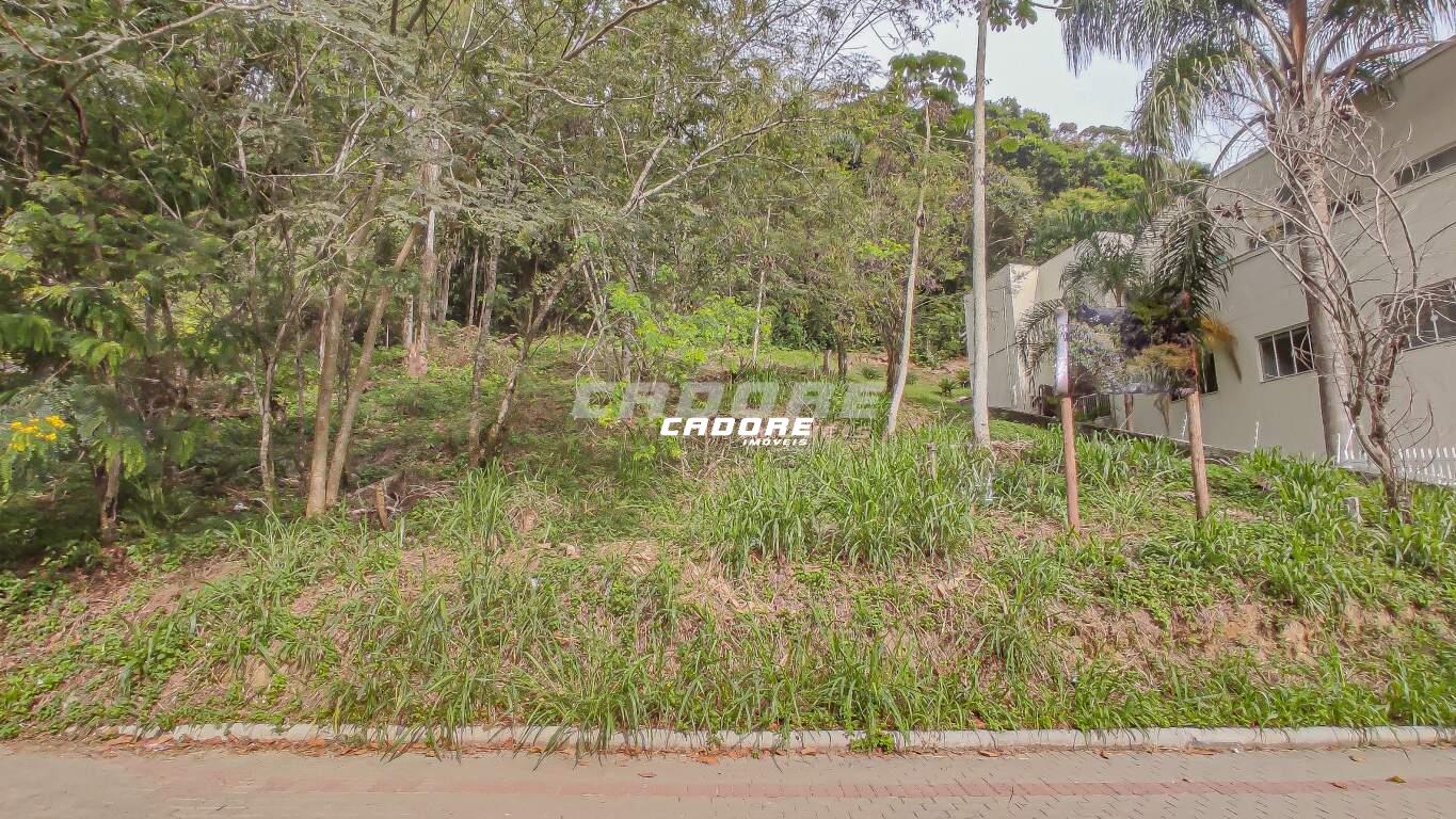 Terreno RESIDENCIAL e COMERCIAL localizado no bairro GARCIA. — foto 4