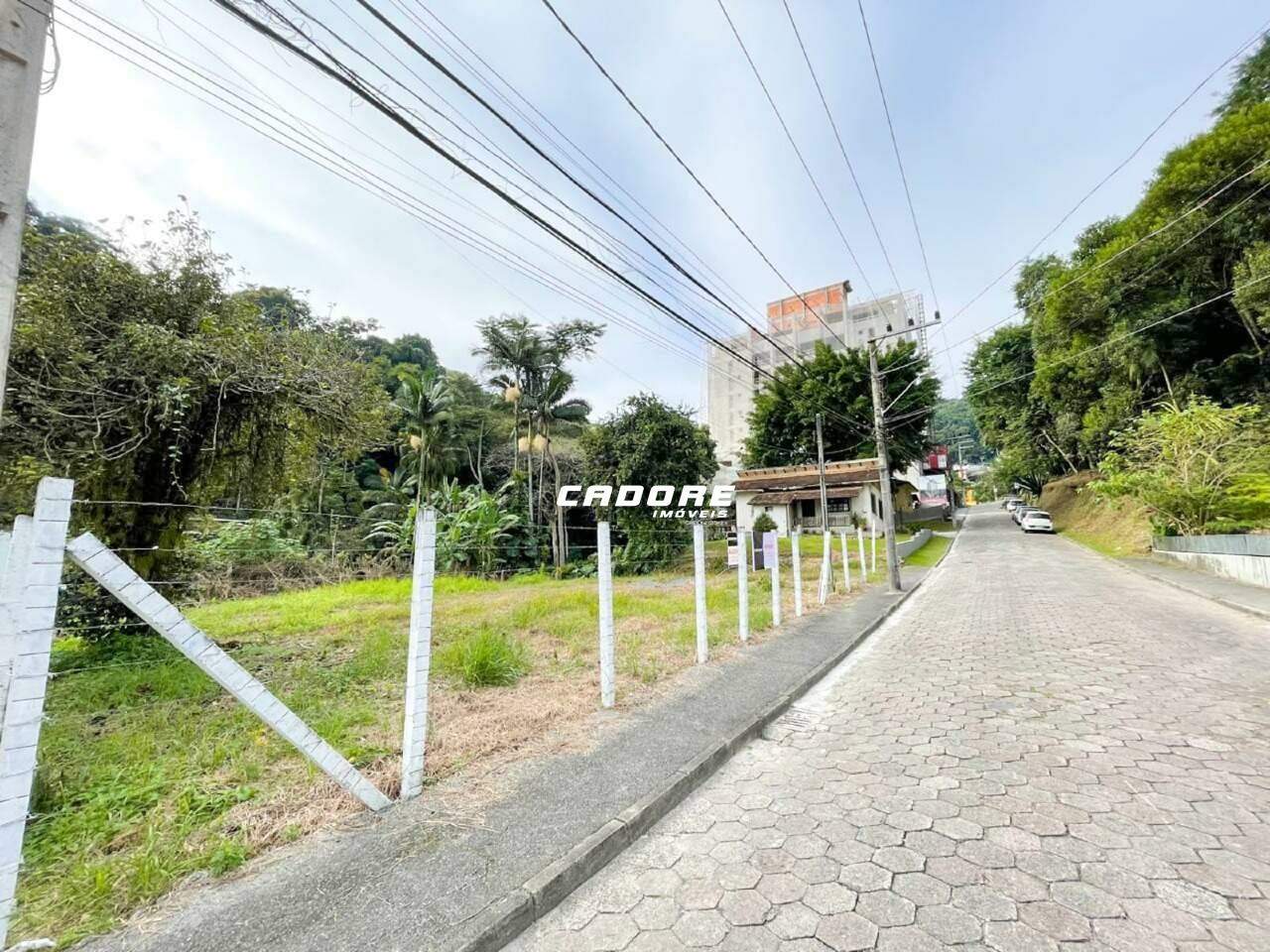 Excelente terreno para locação no bairro Velha I Cadore Imóveis — foto 4