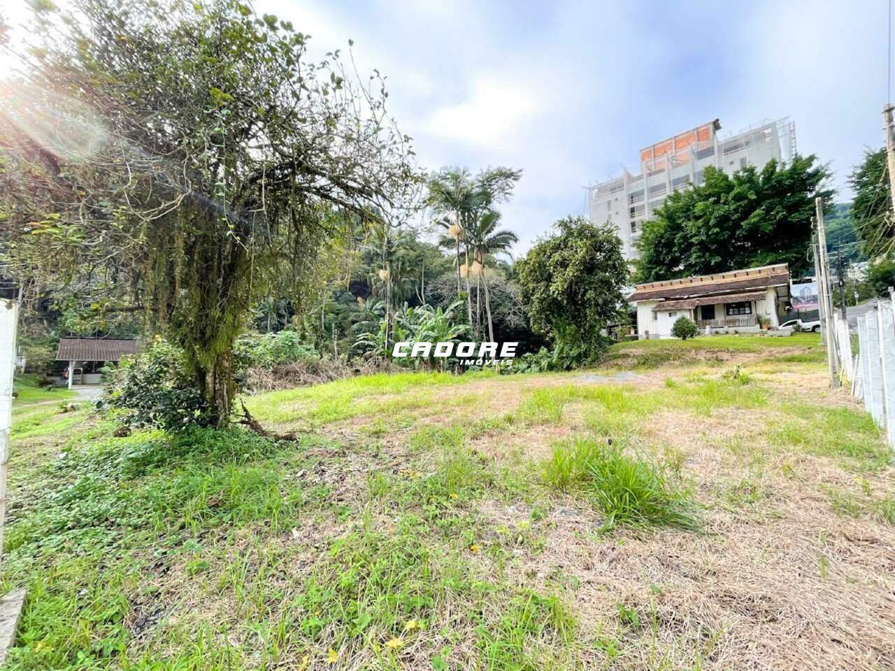 Excelente terreno para locação no bairro Velha I Cadore Imóveis — foto 3
