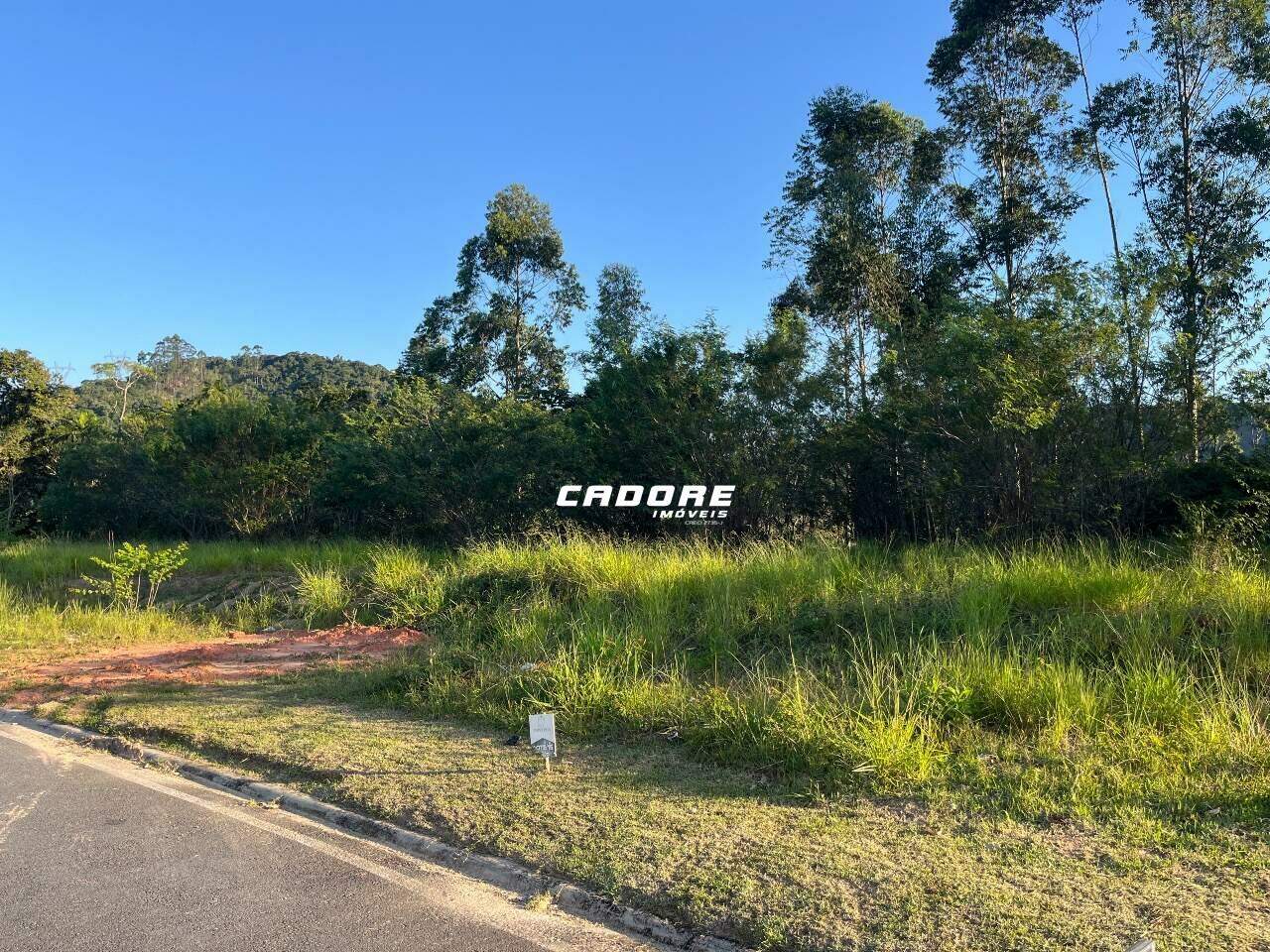 Terrenos Privilège Condomínio Parque - Condomínio Fechado - Bairro Ponta Aguda - Blumenau/SC. — foto 2